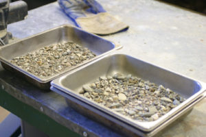 Trays with aggregate material waiting to be sorted